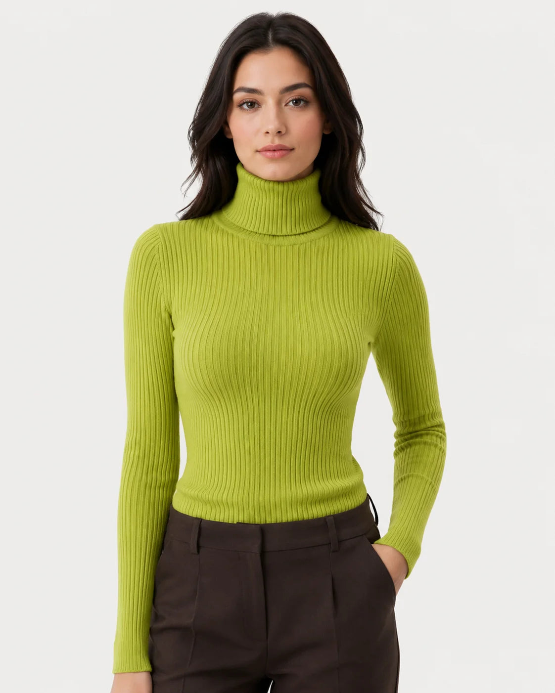 Women Ribbed Turtleneck Sweater