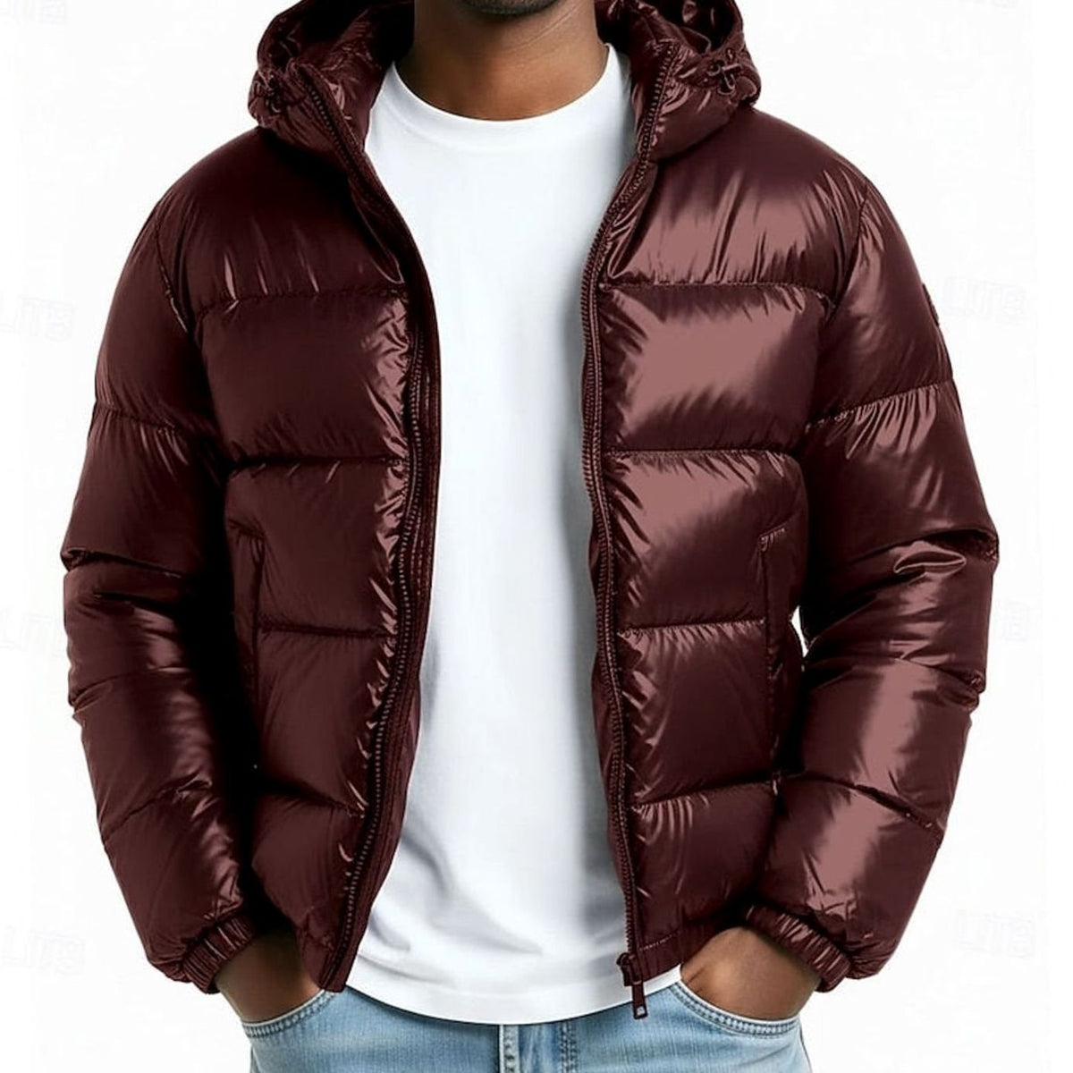 Men Hooded Quilted Puffer Jacket